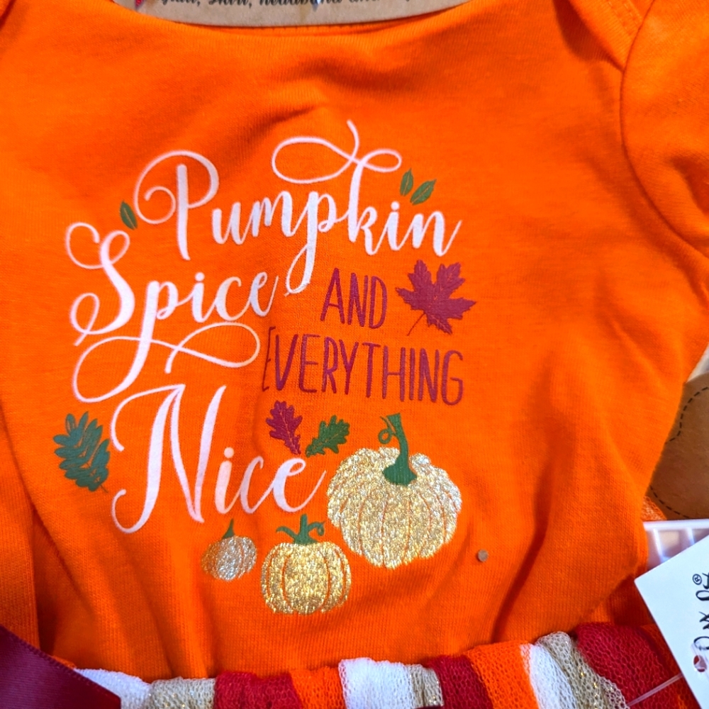 Little Girls 4 Piece Pumpkin Spice Long Sleeve Outfit Size 6 Months BNWT